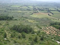 DSC03684