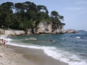 DSC03945