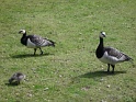 DSC05048
