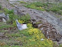 DSC05057