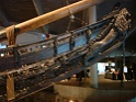 DSC05181