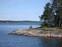 DSC05237