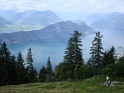 DSC05785
