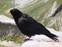 DSC05925
