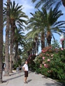 DSC06619