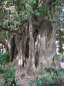 DSC06636