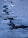 DSC02078