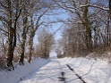 DSC00413