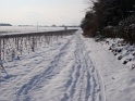 DSC00426