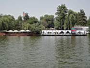 DSC03104.JPG