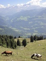 DSC04597