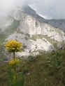 DSC04628