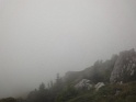 DSC04653