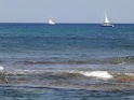 DSC05479
