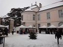 DSC07798