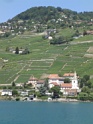 DSC03975