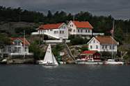 IMG_7903.JPG