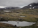 DSC04519