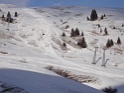 DSC09065