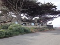 DSC08007