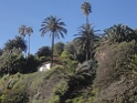 DSC08881