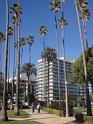 DSC08896