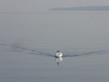 DSC00270