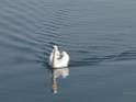 DSC00272