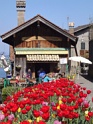 DSC00397
