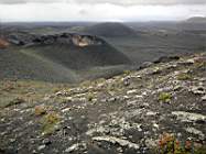 DSC00277.JPG