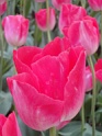 DSC01604