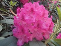 DSC01612