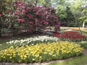 DSC01621