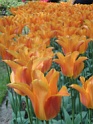 DSC01622
