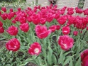 DSC01625