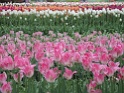 DSC01646