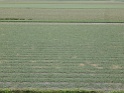 DSC01653