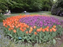 DSC01677