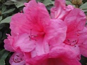 DSC01688