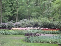 DSC01690