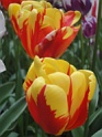 DSC01697