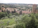 DSC03205
