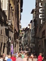 DSC03246