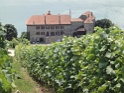 DSC03364