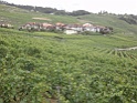 DSC03398
