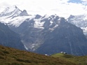 DSC00559