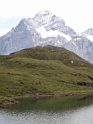 DSC00597