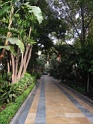 DSC02292