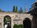 DSC01811