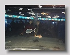 DSC03035